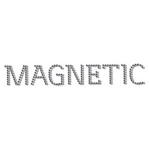 Swarovski Magnetic logo